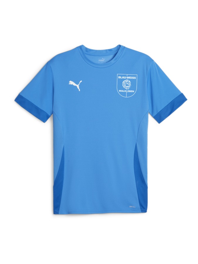 PUMA teamGOAL Matchday Trikot