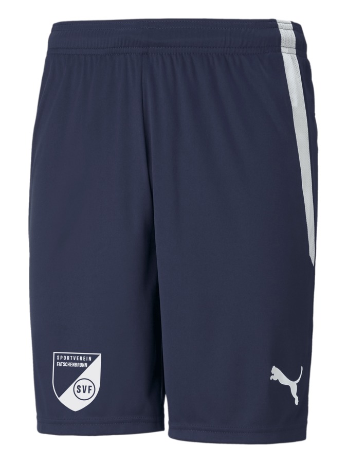 PUMA teamLIGA Shorts