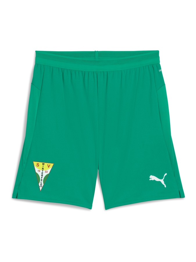 PUMA teamCUP Shorts
