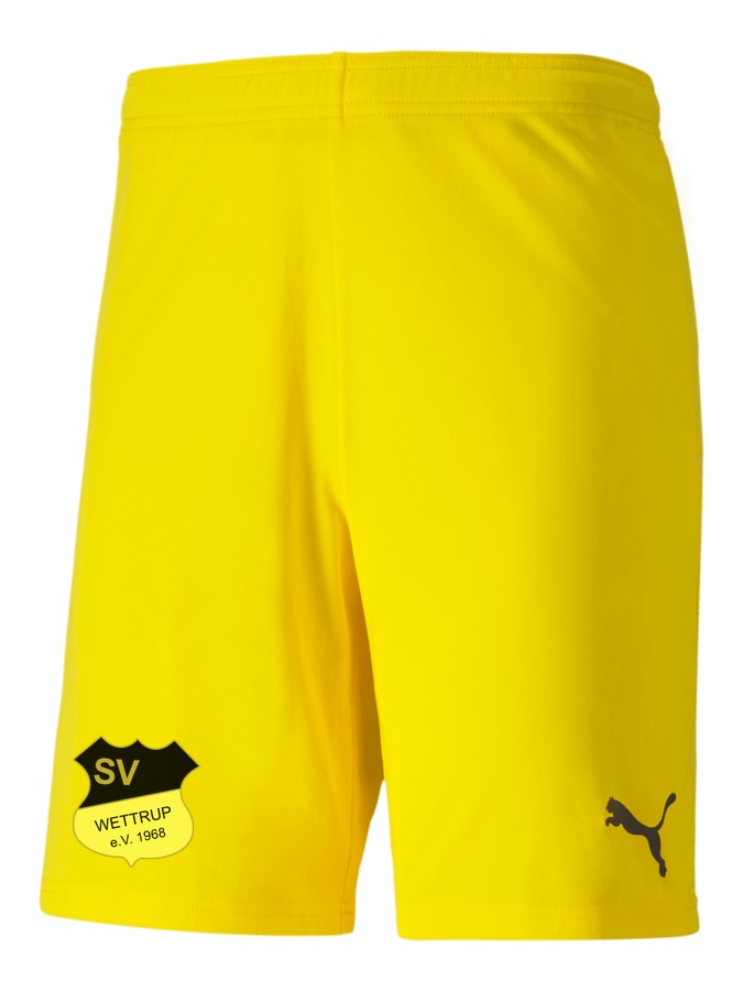 PUMA teamGOAL 23 Knit Shorts