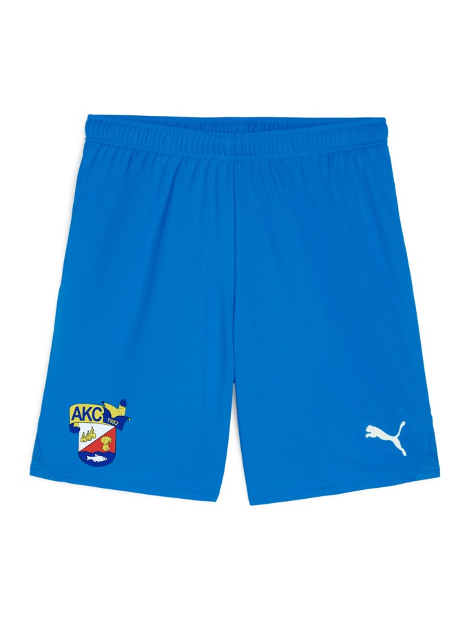 PUMA teamGOAL Shorts