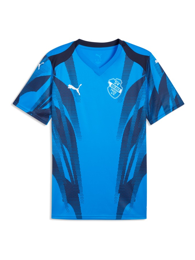 PUMA teamFINAL Graphic+ Trikot