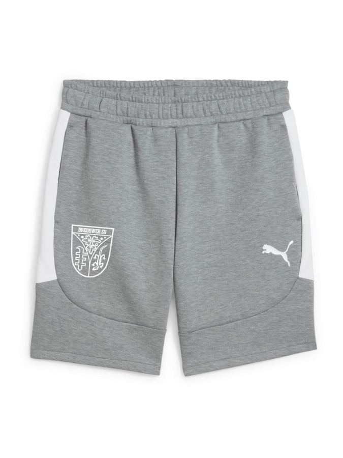 PUMA teamEVOSTRIPE Shorts