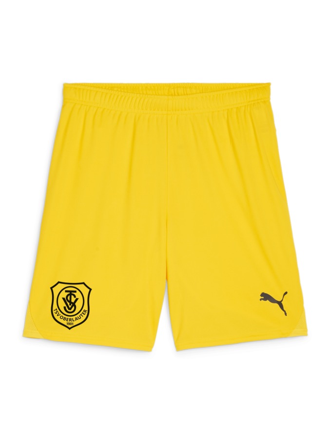 PUMA teamGOAL Shorts