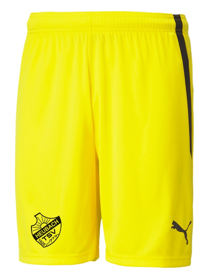 PUMA teamLIGA Shorts