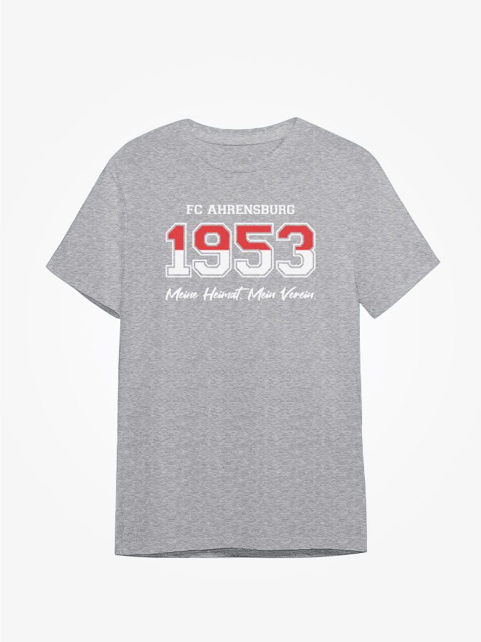 Shirt Established Kids