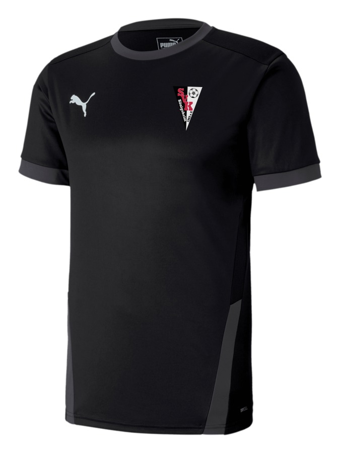 PUMA teamGOAL 23 Trikot