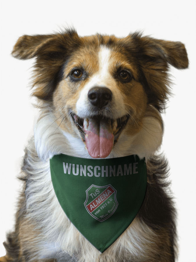 Hundehalstuch