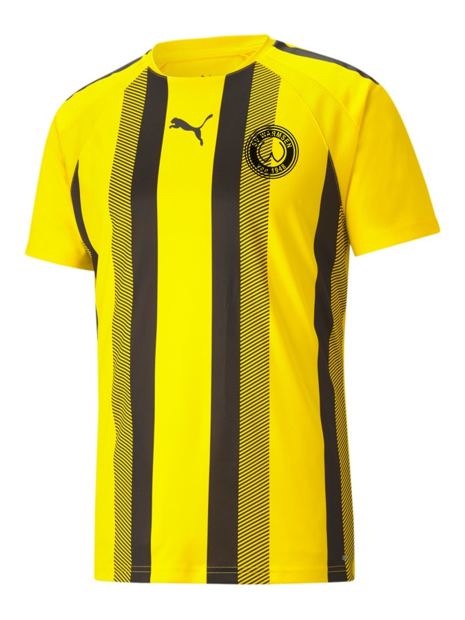 PUMA teamLIGA Striped Trikot
