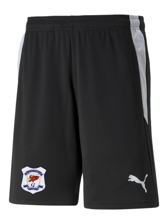 PUMA teamLIGA Referee Shorts