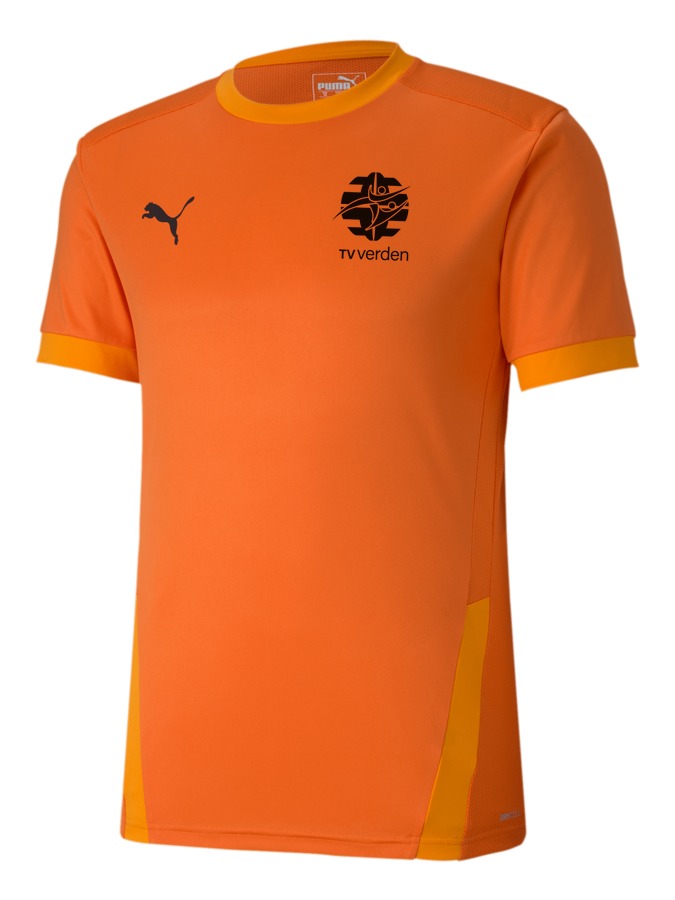 PUMA teamGOAL 23 Trikot