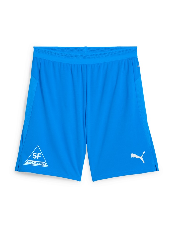 PUMA teamCUP Shorts