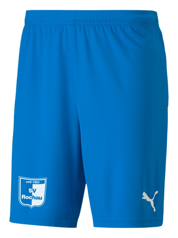 PUMA teamGOAL 23 Knit Shorts