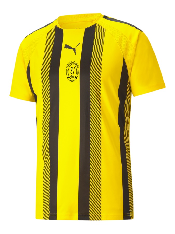 PUMA teamLIGA Striped Trikot