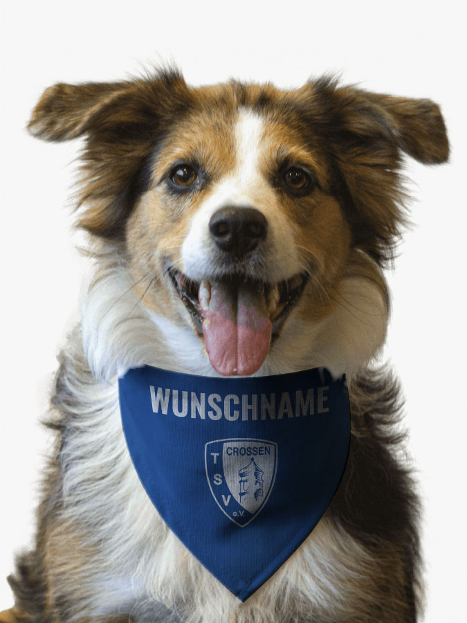 Hundehalstuch