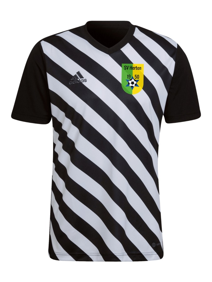 adidas Entrada 22 GFX Trikot
