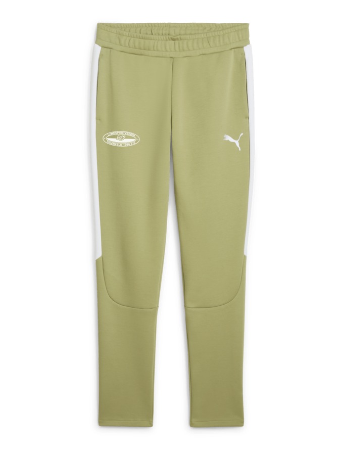 PUMA teamEVOSTRIPE Hose