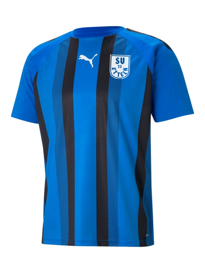PUMA teamLIGA Striped Trikot