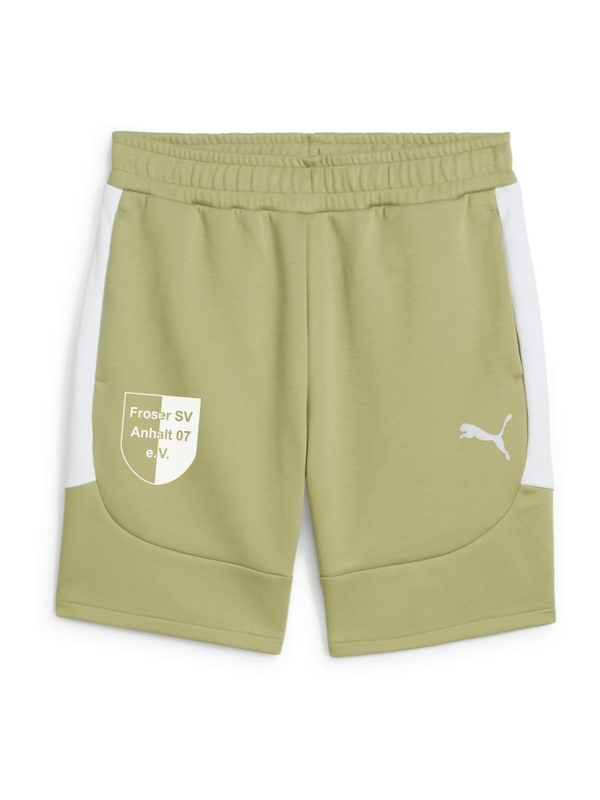 PUMA teamEVOSTRIPE Shorts