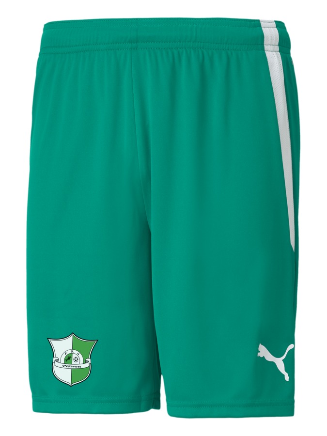 PUMA teamLIGA Shorts