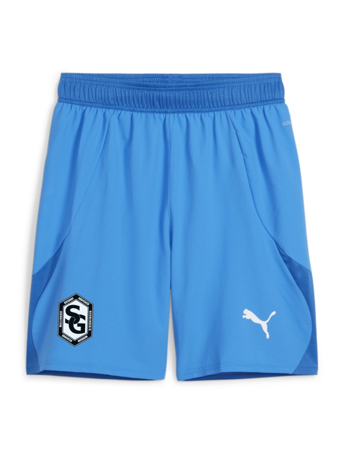 PUMA teamFINAL Shorts