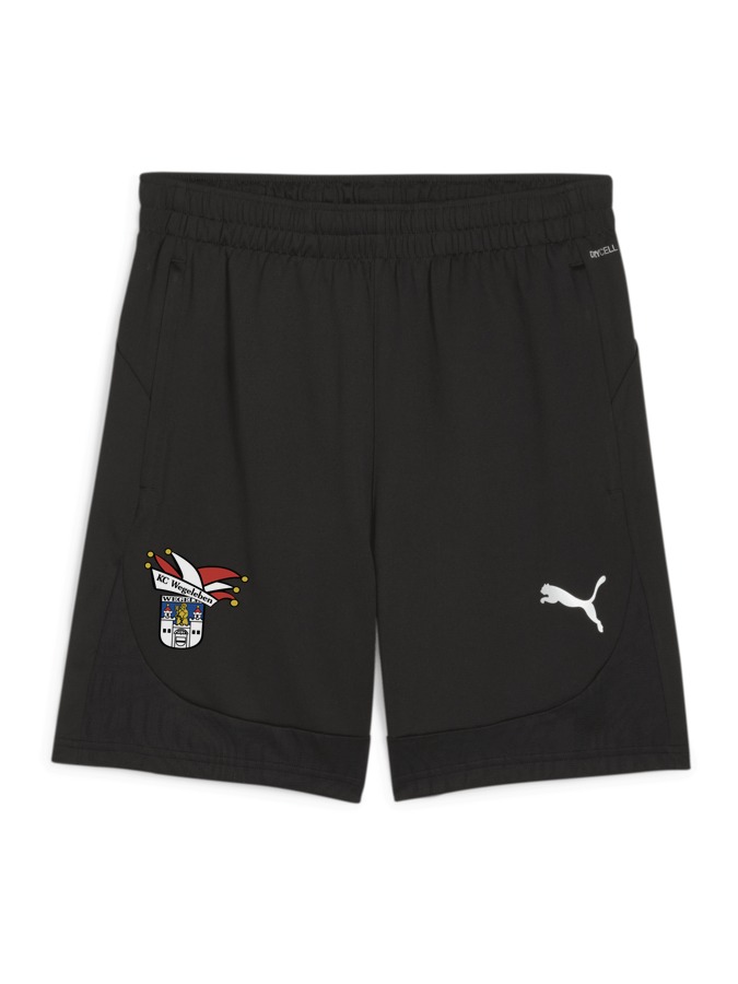 PUMA teamFINAL Training Shorts