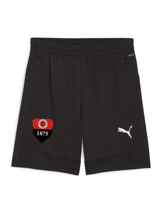 PUMA teamFINAL Training Shorts