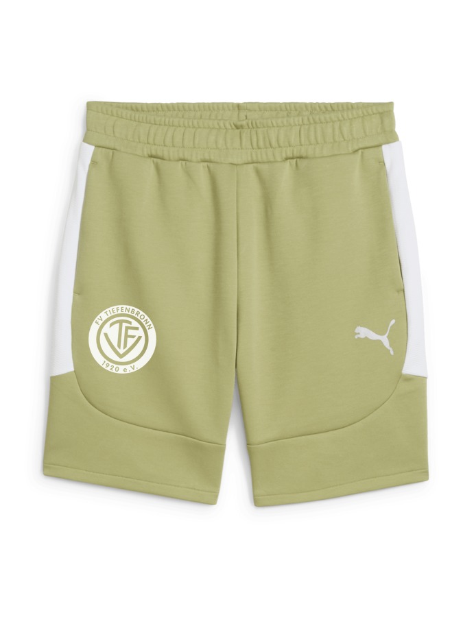 PUMA teamEVOSTRIPE Shorts
