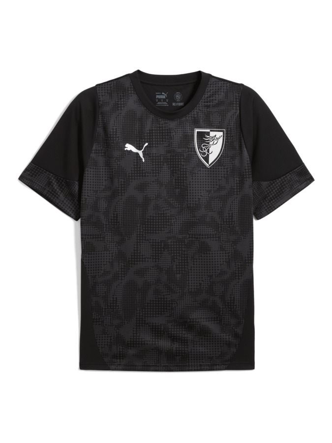 PUMA teamCUP Trainingsshirt