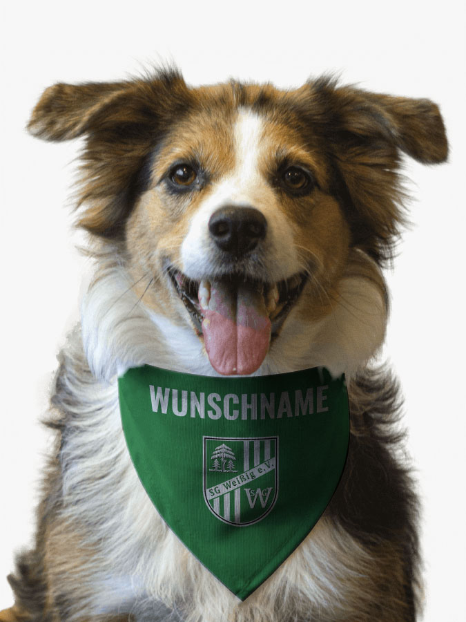 Hundehalstuch