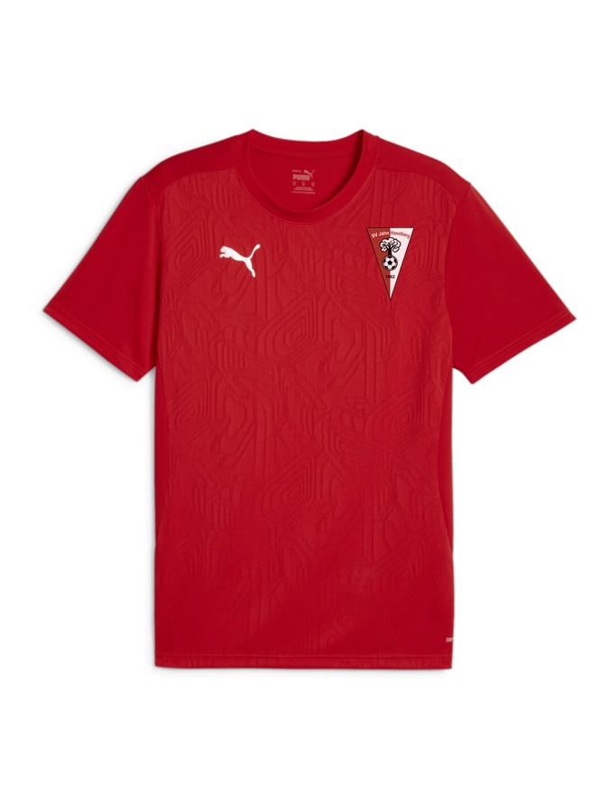 PUMA teamFINAL Trainingsshirt