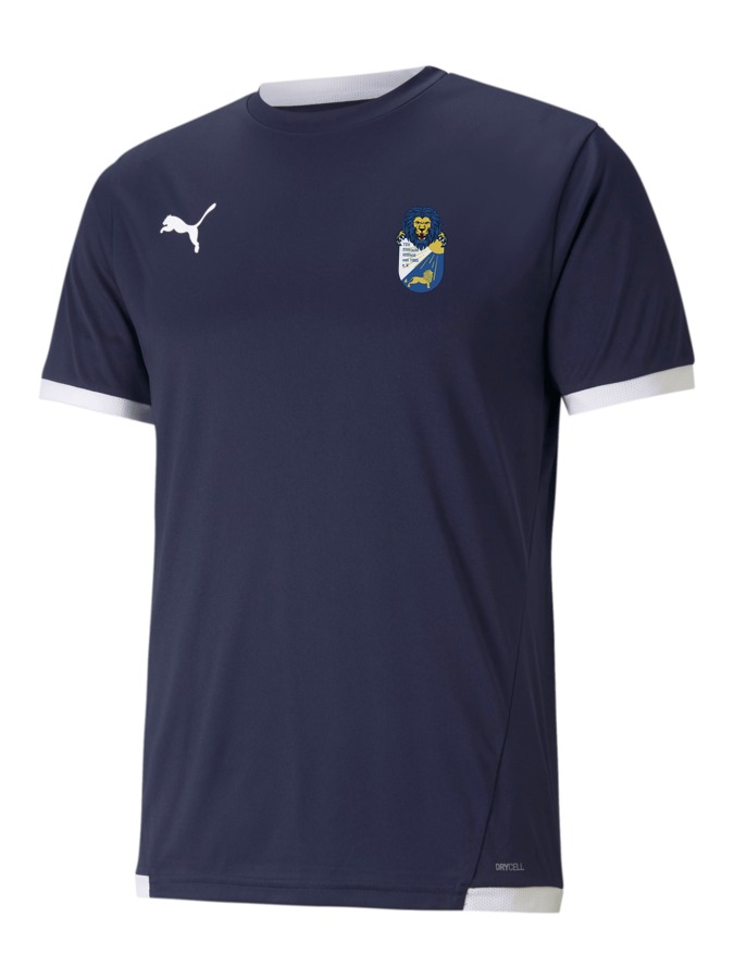 PUMA teamLIGA Trikot