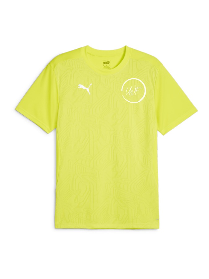 PUMA teamFINAL Trainingsshirt