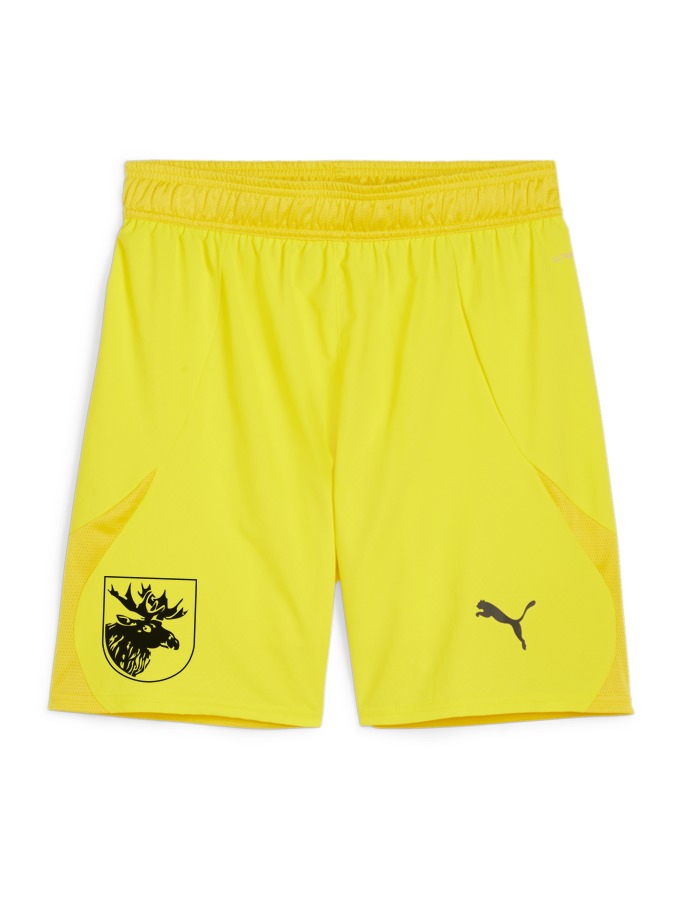 PUMA teamFINAL Shorts