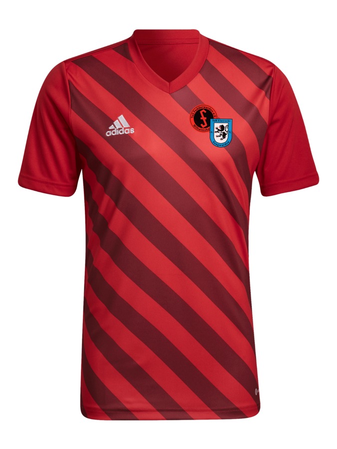 adidas Entrada 22 GFX Trikot