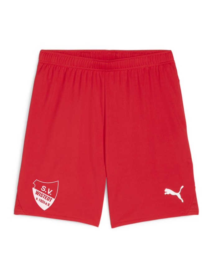 PUMA teamGOAL Shorts