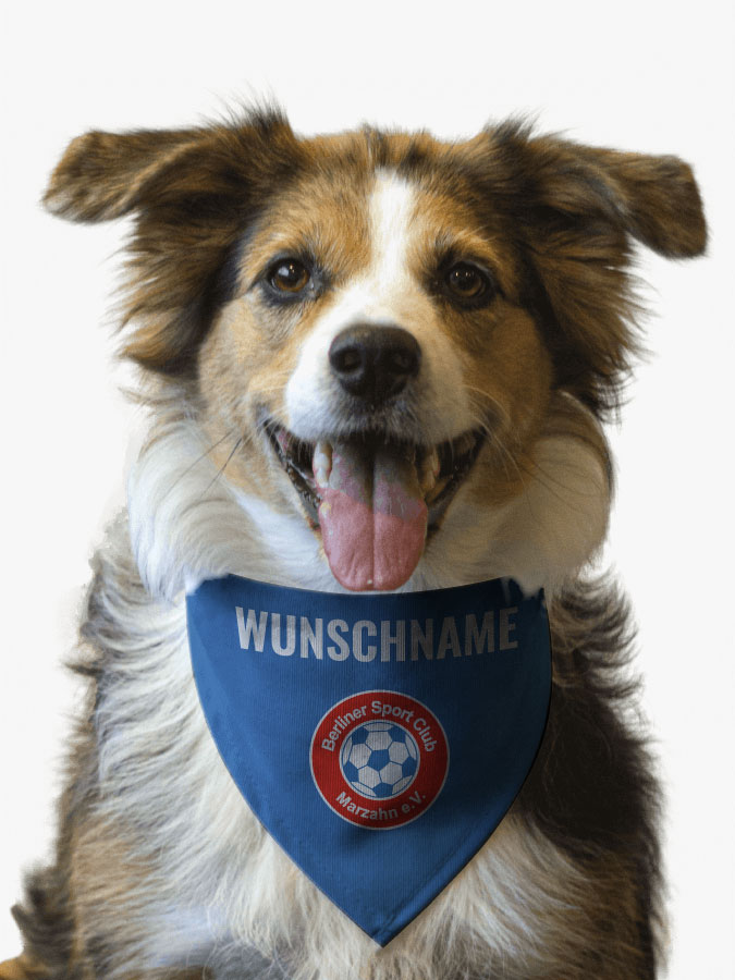 Hundehalstuch