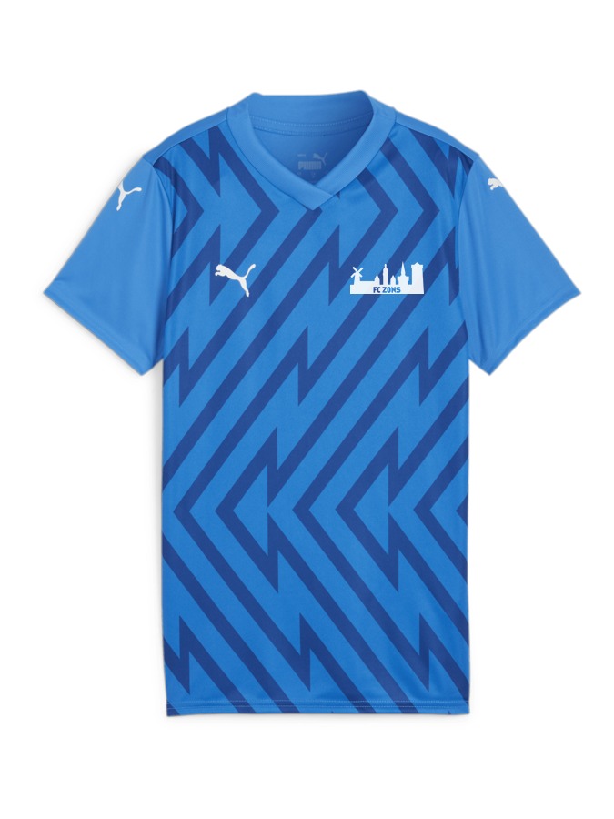 PUMA teamGLORY Trikot Damen