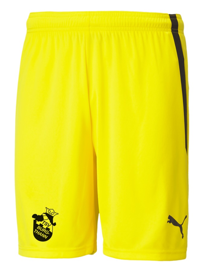 PUMA teamLIGA Shorts