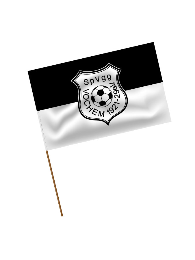 Stadionfahne Logo