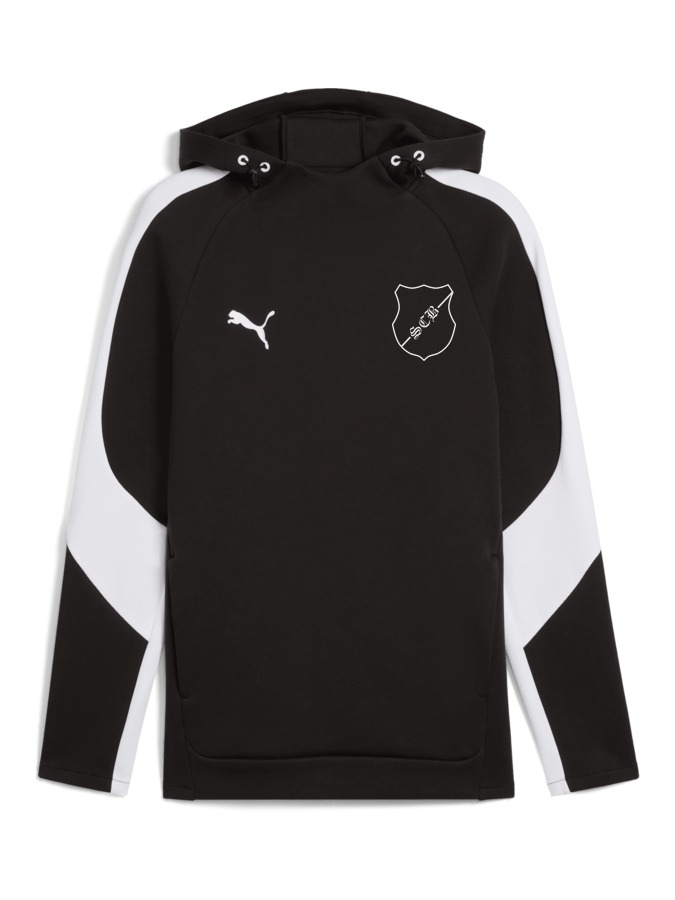 PUMA teamEVOSTRIPE Hoody