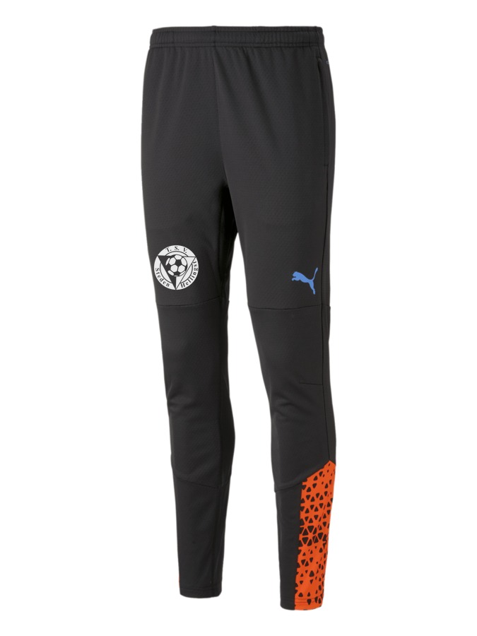 PUMA individualCUP Trainingshose