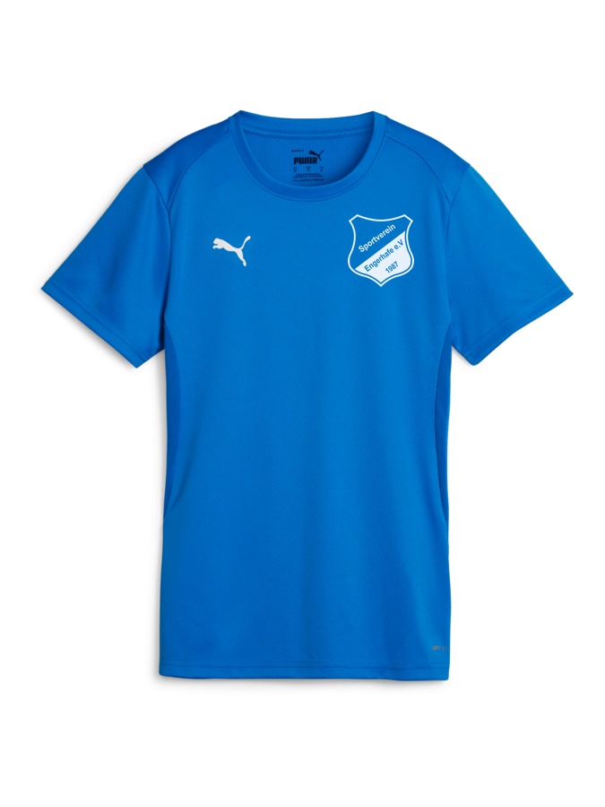 PUMA teamGOAL Trikot Damen
