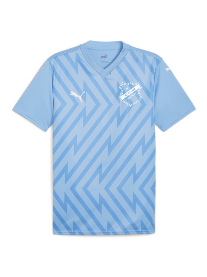 PUMA teamGLORY Trikot