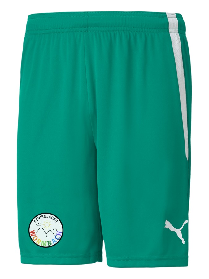 PUMA teamLIGA Shorts