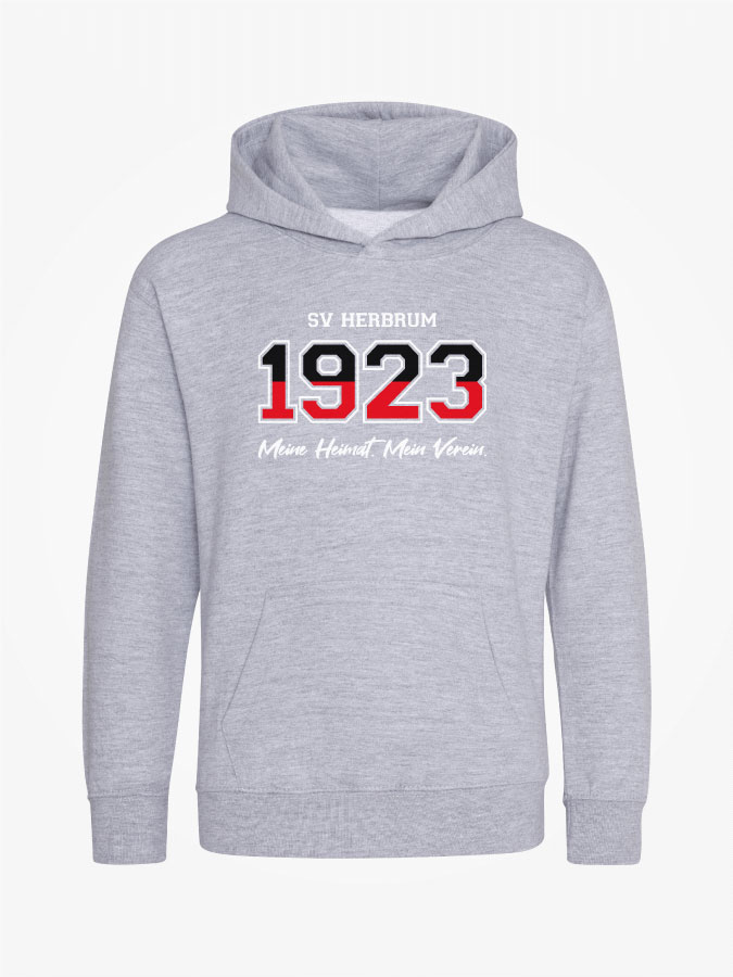 Hoodie Established Kids