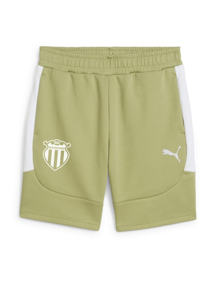 PUMA teamEVOSTRIPE Shorts
