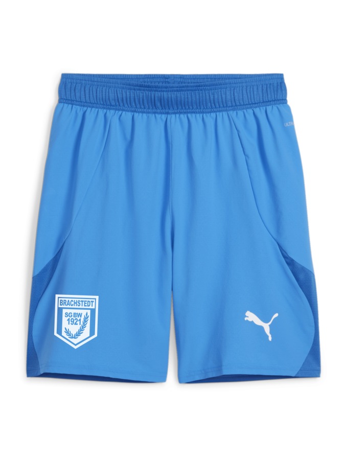 PUMA teamFINAL Shorts