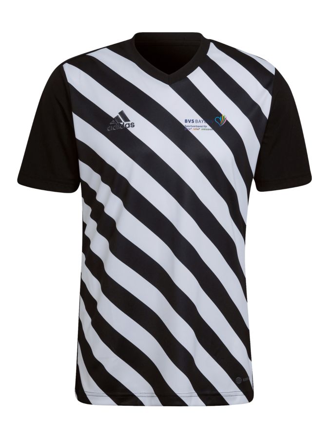adidas Entrada 22 GFX Trikot