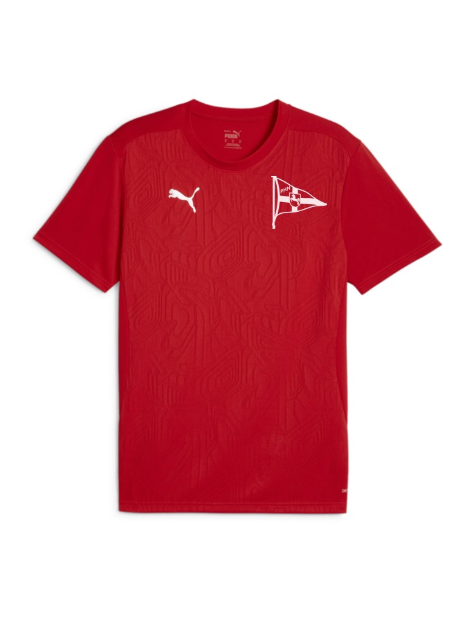 PUMA teamFINAL Trainingsshirt